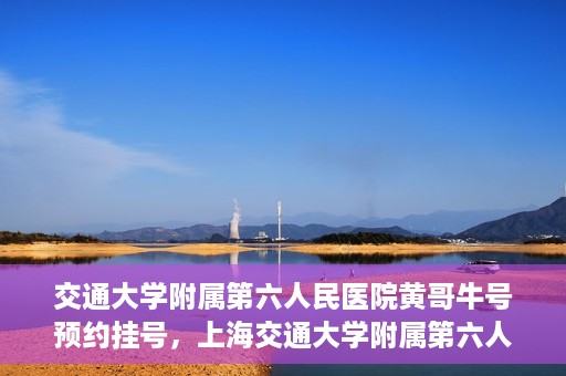 交通大学附属第六人民医院黄哥牛号预约挂号，上海交通大学附属第六人民医院黄哥牛号预约挂号攻略