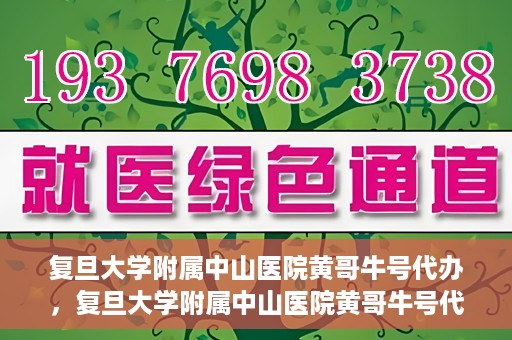 复旦大学附属中山医院黄哥牛号代办，复旦大学附属中山医院黄哥牛号代办，权威医疗资源的深度解读与便捷服务体验