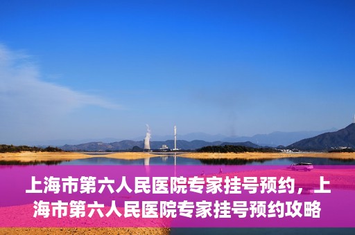 上海市第六人民医院专家挂号预约，上海市第六人民医院专家挂号预约攻略，一站式解决您的就医需求