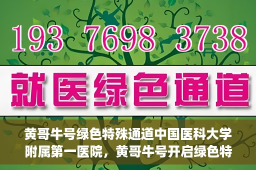 黄哥牛号绿色特殊通道中国医科大学附属第一医院，黄哥牛号开启绿色特殊通道，中国医科大学附属第一医院助力健康中国行动