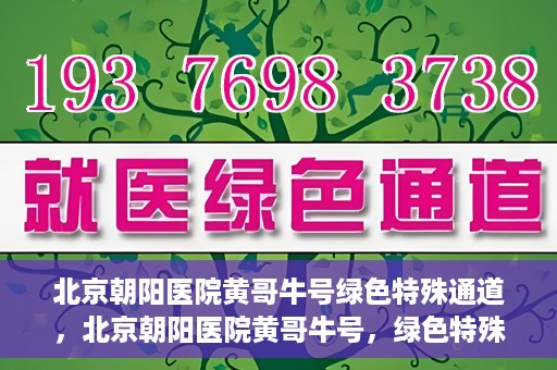 北京朝阳医院黄哥牛号绿色特殊通道，北京朝阳医院黄哥牛号，绿色特殊通道开启健康之门