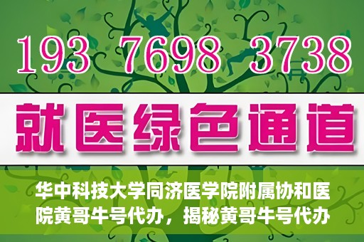 华中科技大学同济医学院附属协和医院黄哥牛号代办，揭秘黄哥牛号代办背后的故事，华中科技大学同济医学院附属协和医院就医新途径探索