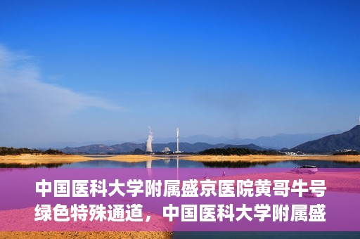 中国医科大学附属盛京医院黄哥牛号绿色特殊通道，中国医科大学附属盛京医院黄哥牛号，绿色特殊通道开启健康之门