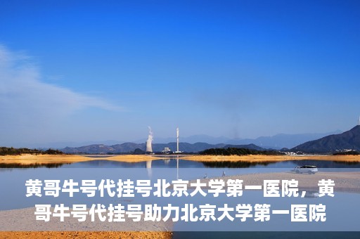 黄哥牛号代挂号北京大学第一医院，黄哥牛号代挂号助力北京大学第一医院就医便捷化