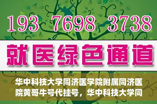 华中科技大学同济医学院附属同济医院黄哥牛号代挂号，华中科技大学同济医院黄哥牛号代挂号背后的故事