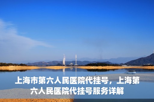 上海市第六人民医院代挂号，上海第六人民医院代挂号服务详解