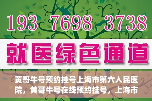 黄哥牛号预约挂号上海市第六人民医院，黄哥牛号在线预约挂号，上海市第六人民医院就医新选择