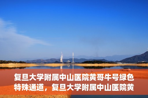复旦大学附属中山医院黄哥牛号绿色特殊通道，复旦大学附属中山医院黄哥牛号，绿色特殊通道开启健康之门