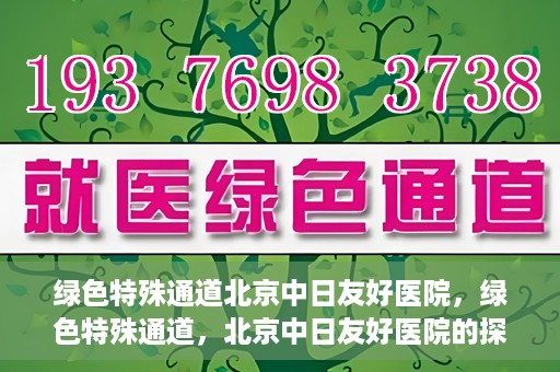 绿色特殊通道北京中日友好医院，绿色特殊通道，北京中日友好医院的探索与实践