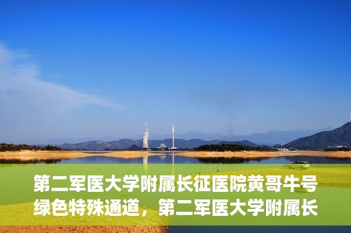 第二军医大学附属长征医院黄哥牛号绿色特殊通道，第二军医大学附属长征医院黄哥牛号，绿色特殊通道的医学之光
