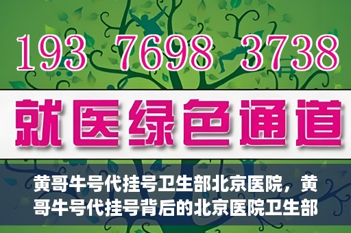 黄哥牛号代挂号卫生部北京医院，黄哥牛号代挂号背后的北京医院卫生部揭秘