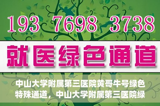 中山大学附属第三医院黄哥牛号绿色特殊通道，中山大学附属第三医院绿色特殊通道，黄哥牛号引领医疗创新之路