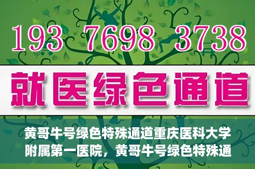 黄哥牛号绿色特殊通道重庆医科大学附属第一医院，黄哥牛号绿色特殊通道，重庆医科大学附属第一医院实践探索