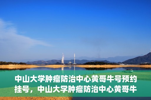 中山大学肿瘤防治中心黄哥牛号预约挂号，中山大学肿瘤防治中心黄哥牛号预约挂号攻略解析