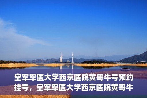 空军军医大学西京医院黄哥牛号预约挂号，空军军医大学西京医院黄哥牛医生预约挂号攻略