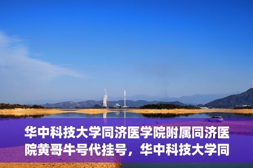 华中科技大学同济医学院附属同济医院黄哥牛号代挂号，华中科技大学同济医院黄哥牛号代挂号背后的故事