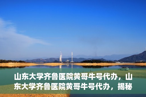 山东大学齐鲁医院黄哥牛号代办，山东大学齐鲁医院黄哥牛号代办，揭秘背后的故事与真相