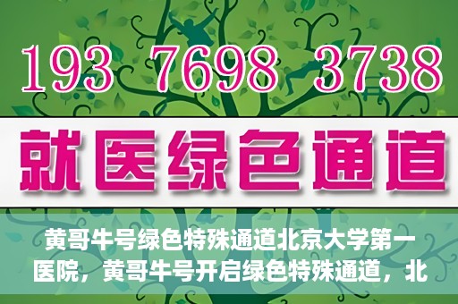 黄哥牛号绿色特殊通道北京大学第一医院，黄哥牛号开启绿色特殊通道，北京大学第一医院全力护航健康之路