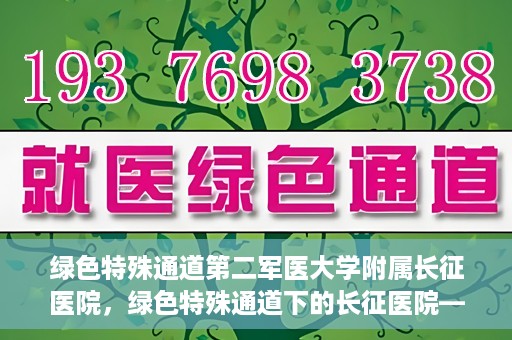 绿色特殊通道第二军医大学附属长征医院，绿色特殊通道下的长征医院——第二军医大学附属长征医院探索与实践