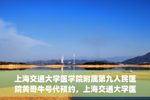 上海交通大学医学院附属第九人民医院黄哥牛号代预约，上海交通大学医学院附属第九人民医院黄哥牛号预约攻略，轻松预约挂号体验