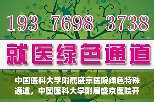 中国医科大学附属盛京医院绿色特殊通道，中国医科大学附属盛京医院开通绿色特殊通道，助力患者快速就医