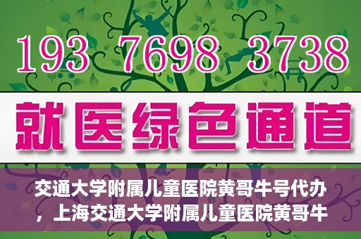 交通大学附属儿童医院黄哥牛号代办，上海交通大学附属儿童医院黄哥牛号代办揭秘，真相与警示