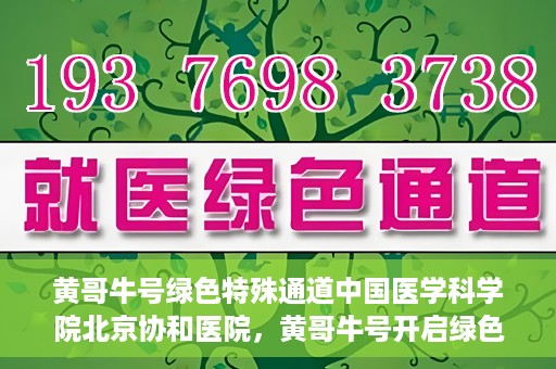 黄哥牛号绿色特殊通道中国医学科学院北京协和医院，黄哥牛号开启绿色特殊通道，北京协和医院助力健康中国行