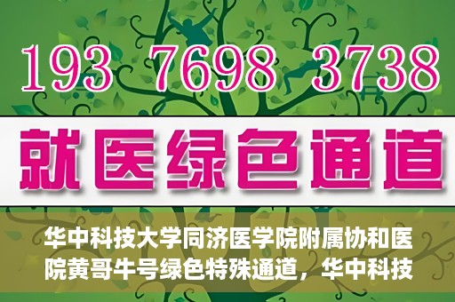 华中科技大学同济医学院附属协和医院黄哥牛号绿色特殊通道，华中科技大学同济医学院附属协和医院黄哥牛号绿色就医特殊通道揭秘