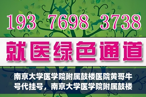 南京大学医学院附属鼓楼医院黄哥牛号代挂号，南京大学医学院附属鼓楼医院黄哥牛号代挂号解析，专业解读与预约攻略