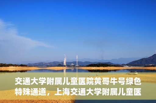 交通大学附属儿童医院黄哥牛号绿色特殊通道，上海交通大学附属儿童医院黄哥牛号绿色特殊通道揭秘