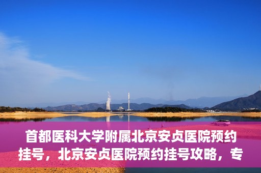 首都医科大学附属北京安贞医院预约挂号，北京安贞医院预约挂号攻略，专业医疗，便捷就医