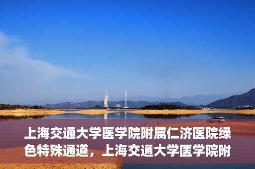 上海交通大学医学院附属仁济医院绿色特殊通道，上海交通大学医学院附属仁济医院绿色特殊通道，高效医疗服务的创新实践