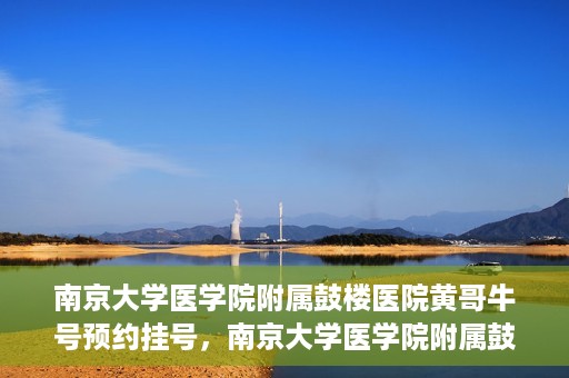 南京大学医学院附属鼓楼医院黄哥牛号预约挂号，南京大学医学院附属鼓楼医院黄哥牛号预约挂号攻略解析