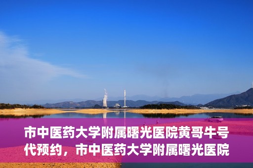 市中医药大学附属曙光医院黄哥牛号代预约，市中医药大学附属曙光医院黄哥牛号预约服务启动
