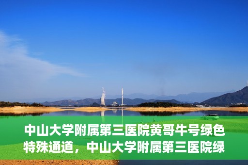 中山大学附属第三医院黄哥牛号绿色特殊通道，中山大学附属第三医院绿色特殊通道，黄哥牛号引领医疗创新之路