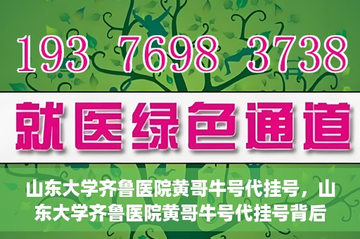 山东大学齐鲁医院黄哥牛号代挂号，山东大学齐鲁医院黄哥牛号代挂号背后的故事与探索