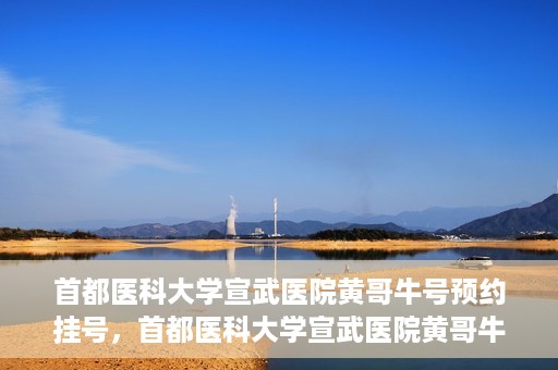 首都医科大学宣武医院黄哥牛号预约挂号，首都医科大学宣武医院黄哥牛号，预约挂号攻略