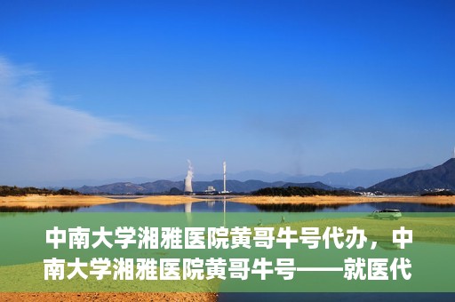 中南大学湘雅医院黄哥牛号代办，中南大学湘雅医院黄哥牛号——就医代办服务详解