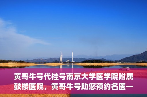黄哥牛号代挂号南京大学医学院附属鼓楼医院，黄哥牛号助您预约名医——南京鼓楼医院挂号新体验