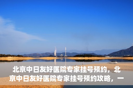 北京中日友好医院专家挂号预约，北京中日友好医院专家挂号预约攻略，一站式解决您的就医难题