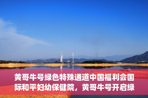 黄哥牛号绿色特殊通道中国福利会国际和平妇幼保健院，黄哥牛号开启绿色特殊通道，助力国际和平妇幼保健院中国福利行动