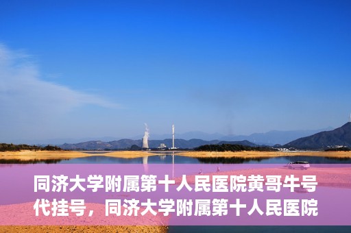 同济大学附属第十人民医院黄哥牛号代挂号，同济大学附属第十人民医院黄哥牛号助您轻松挂号就医