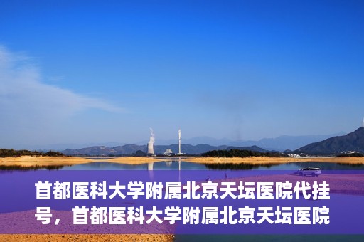 首都医科大学附属北京天坛医院代挂号，首都医科大学附属北京天坛医院代挂号服务详解