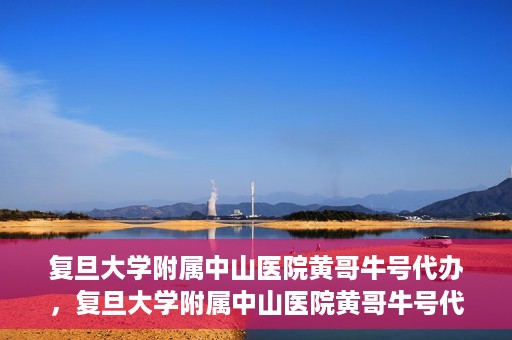 复旦大学附属中山医院黄哥牛号代办，复旦大学附属中山医院黄哥牛号代办，权威医疗资源的深度解读与便捷服务体验