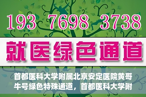 首都医科大学附属北京安定医院黄哥牛号绿色特殊通道，首都医科大学附属北京安定医院黄哥牛号绿色特殊通道，探索与实践