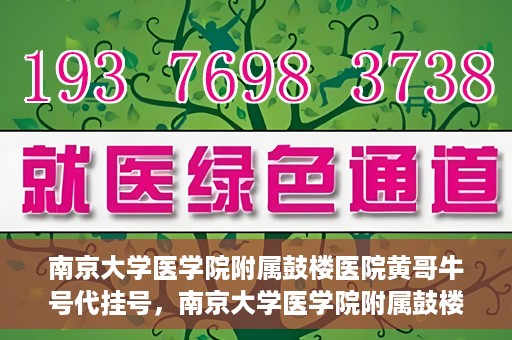 南京大学医学院附属鼓楼医院黄哥牛号代挂号，南京大学医学院附属鼓楼医院黄哥牛号代挂号解析，专业解读与预约攻略