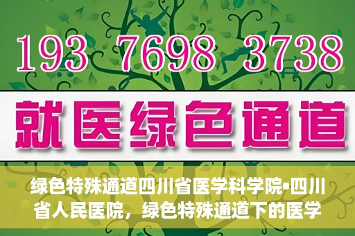 绿色特殊通道四川省医学科学院•四川省人民医院，绿色特殊通道下的医学探索，四川省医学科学院·四川省人民医院研究前沿