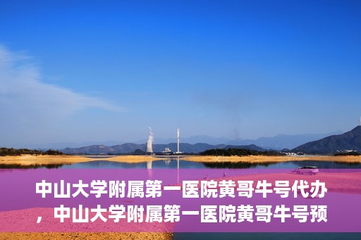 中山大学附属第一医院黄哥牛号代办，中山大学附属第一医院黄哥牛号预约挂号代办攻略