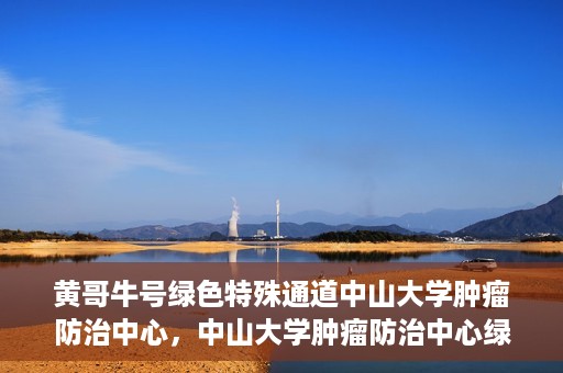黄哥牛号绿色特殊通道中山大学肿瘤防治中心，中山大学肿瘤防治中心绿色特殊通道，黄哥牛号引领健康新航向