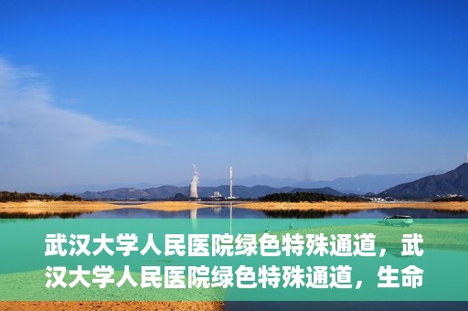 武汉大学人民医院绿色特殊通道，武汉大学人民医院绿色特殊通道，生命救援的紧急通道